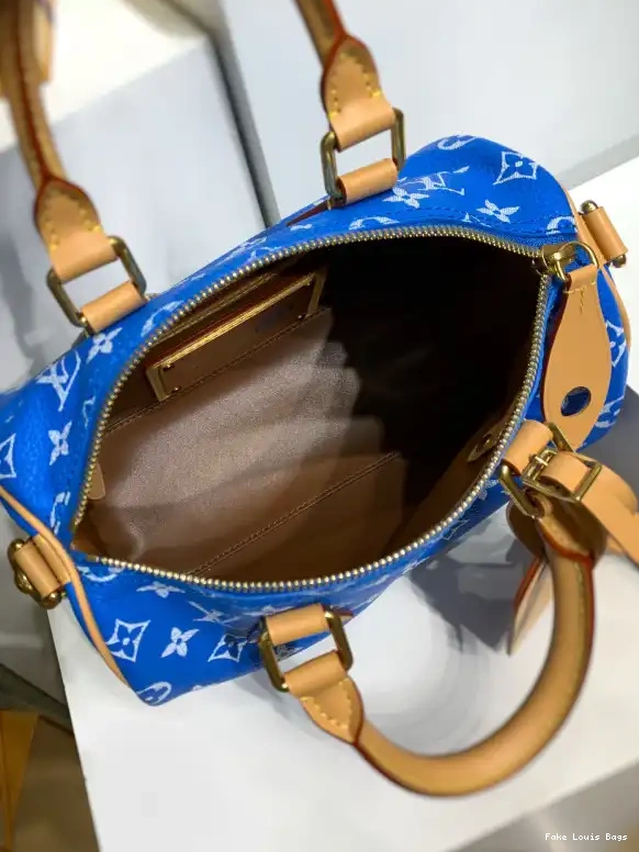 Fake Louis Bags Louis 25 Vuitton SPEEDY 0604